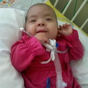 Meet your Posher, Shirley